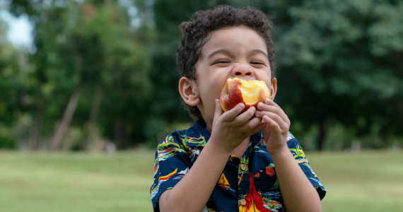 A small boy eats an apple